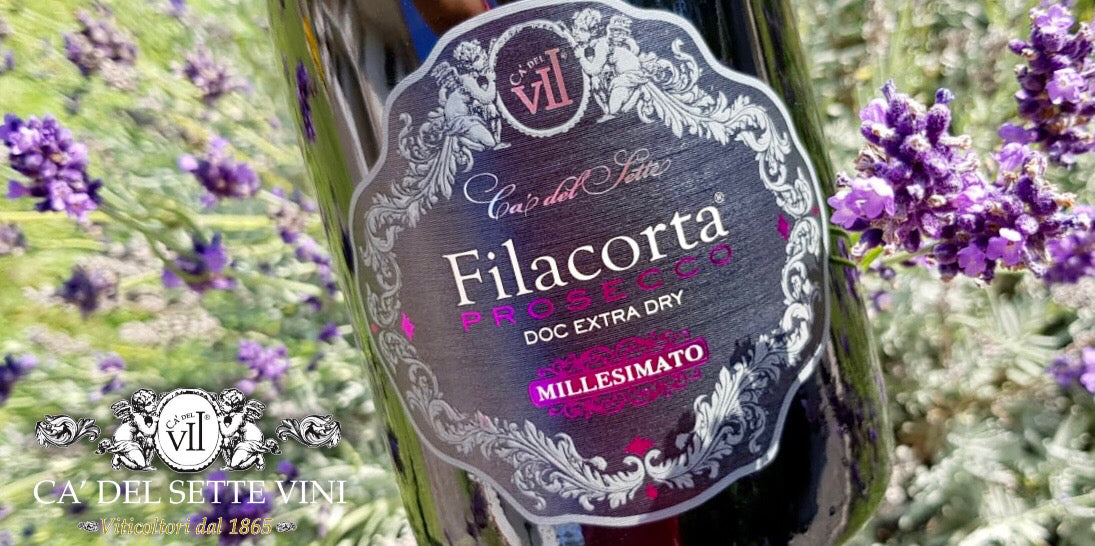 Ficha técnica do Filacorta Prosecco 2022 - Espumante - espumante italiano com informações de safra e uvas