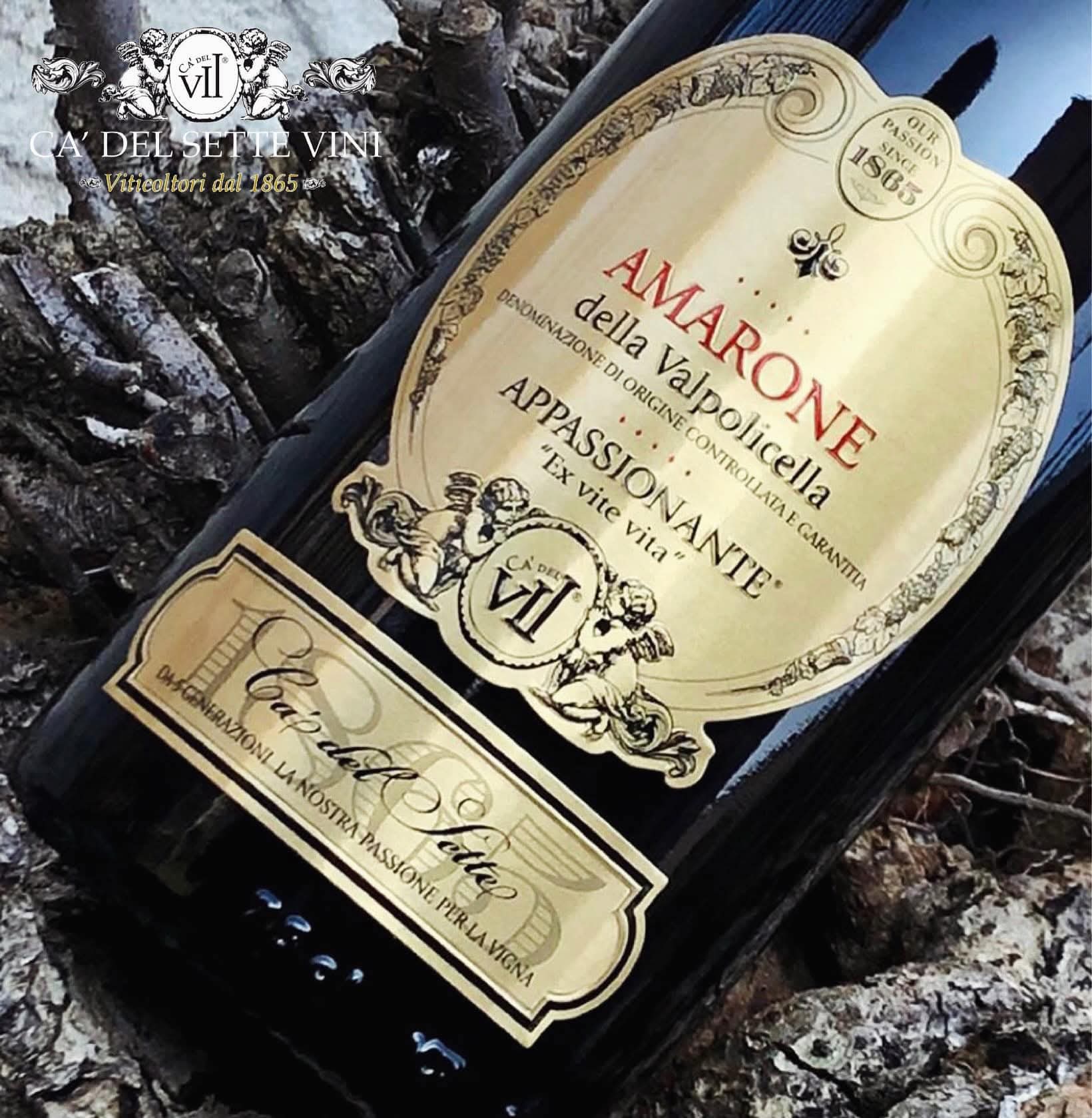 Appassionante Amarone 2018 - Vinho Tinto - Vinho Tinto italiano servido em taça, ideal para harmonização