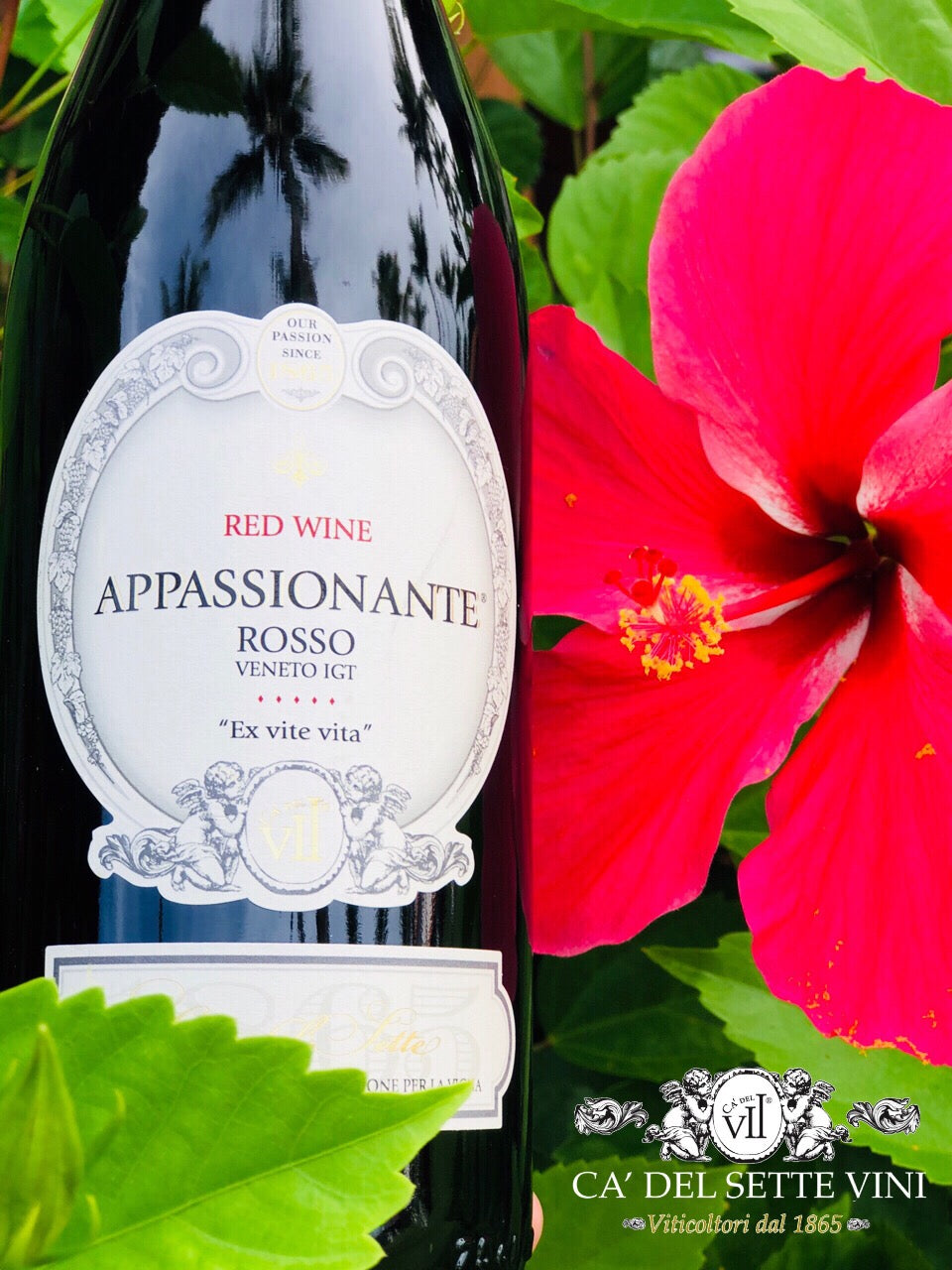 Garrafa de Appassionante 2018 Vinho Tinto - Vista frontal
