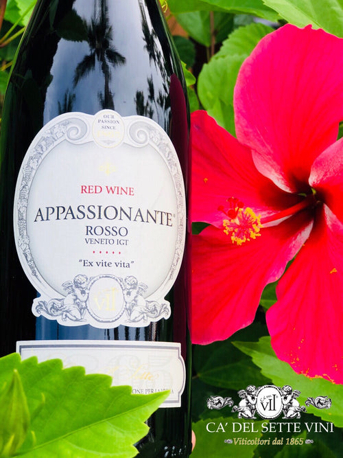 Garrafa de Appassionante 2018 Vinho Tinto - Vista frontal