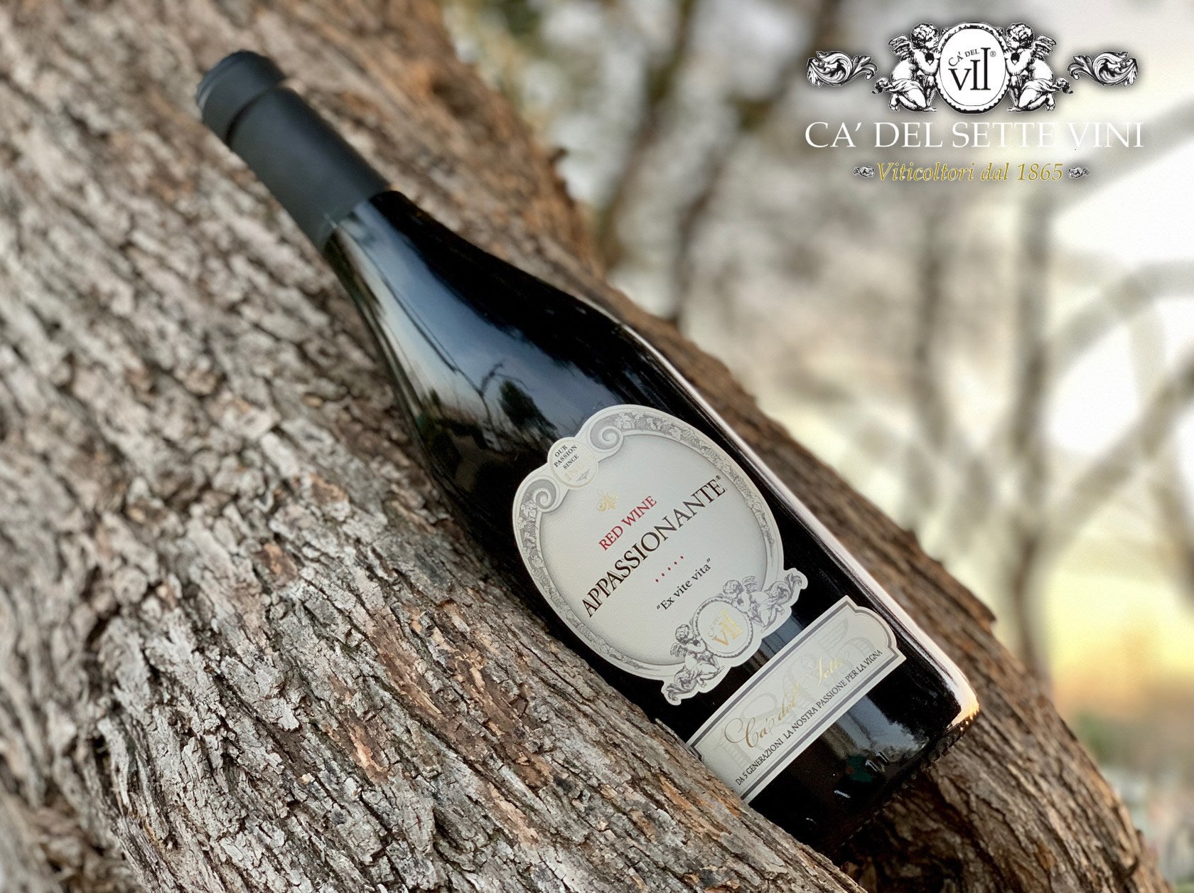 Rotulo do Appassionante 2018 - Vinho Tinto Ca del Sette