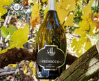 Prosecco Extra Dry 2024 - Espumante - Espumante italiano servido em taça, ideal para harmonização