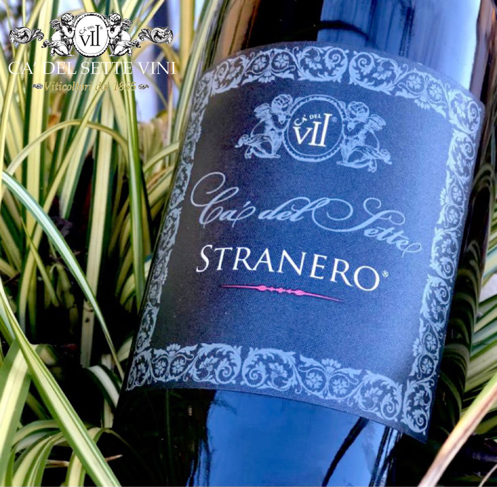 Stranero 2018 - Vinho Tinto - Vinho Tinto italiano servido em taça, ideal para harmonização