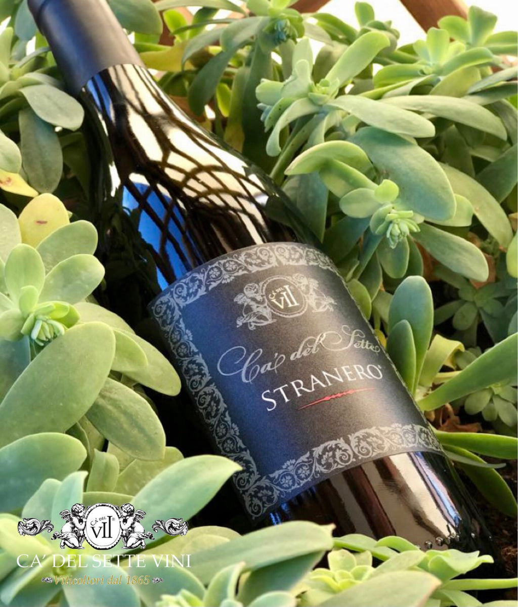 Ficha técnica do Stranero 2018 - Vinho Tinto - vinho tinto italiano com informações de safra e uvas