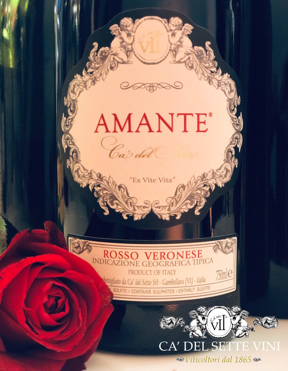 Amante 2019 - Detalhe da garrafa Vinho Tinto