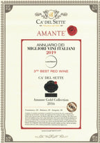 Amante Oro 2019 Vinho Tinto Premium - Imagem 6