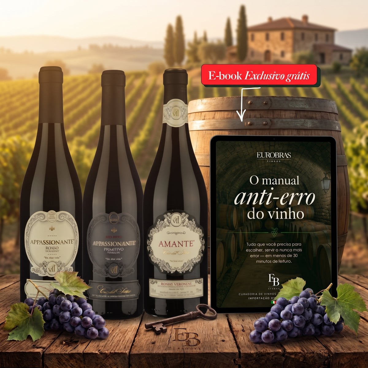Kit Tinto VIP