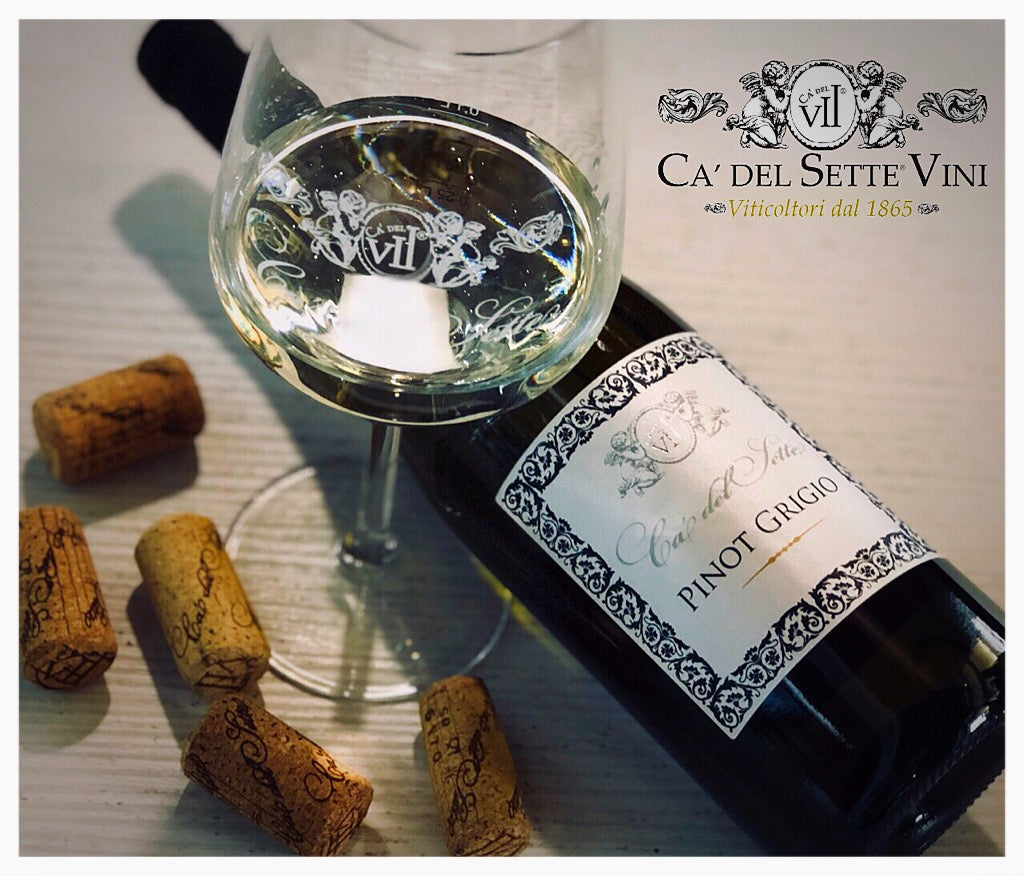 Pinot Grigio 2024 - Vinho Branco - Vinho Branco italiano servido em taça, ideal para harmonização
