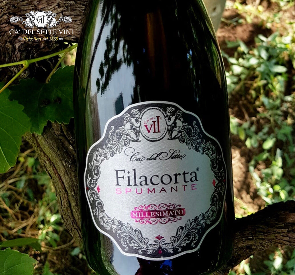 Filacorta Extra Dry 2022 - Espumante - Espumante italiano servido em taça, ideal para harmonização