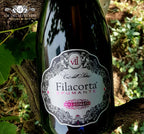 Filacorta Extra Dry 2022 - Espumante - Espumante italiano servido em taça, ideal para harmonização