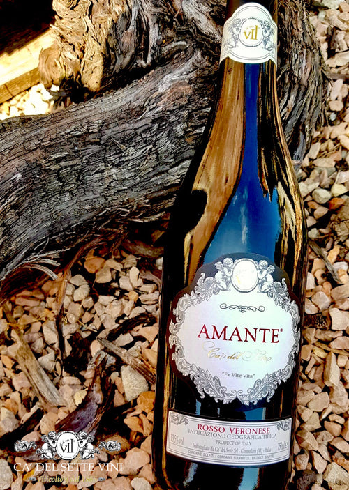 Garrafa de Amante 2019 Vinho Tinto - Vista frontal