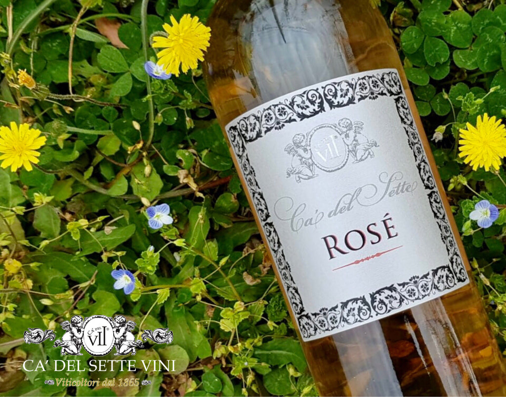 Ficha técnica do Rosato 2023 - Vinho Rosê - vinho rosé italiano com informações de safra e uvas