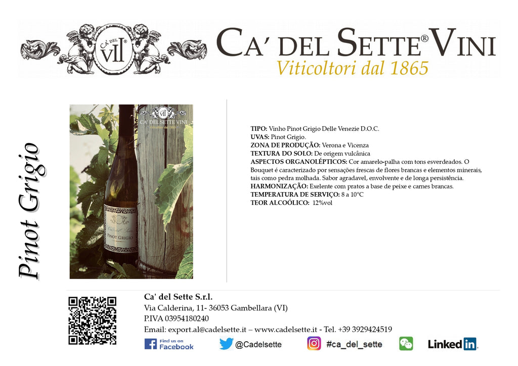Pinot Grigio 2024 - Vinho Branco - Vinho Branco italiano Ca' del Sette da região de Veneto, garrafa 750ml