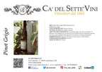 Pinot Grigio 2024 - Vinho Branco - Vinho Branco italiano Ca' del Sette da região de Veneto, garrafa 750ml