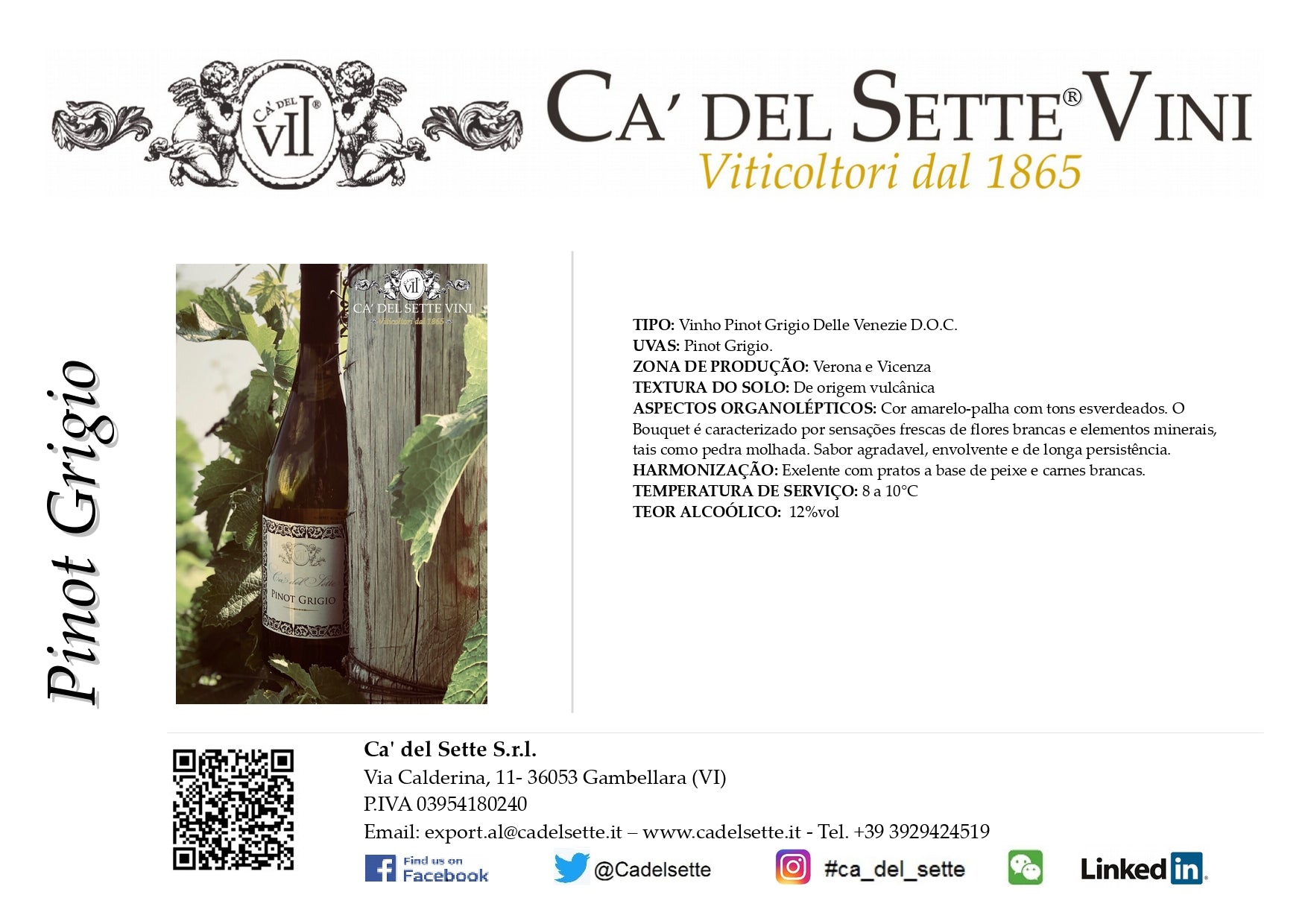 Pinot Grigio 2024 - Vinho Branco - Vinho Branco italiano Ca' del Sette da região de Veneto, garrafa 750ml