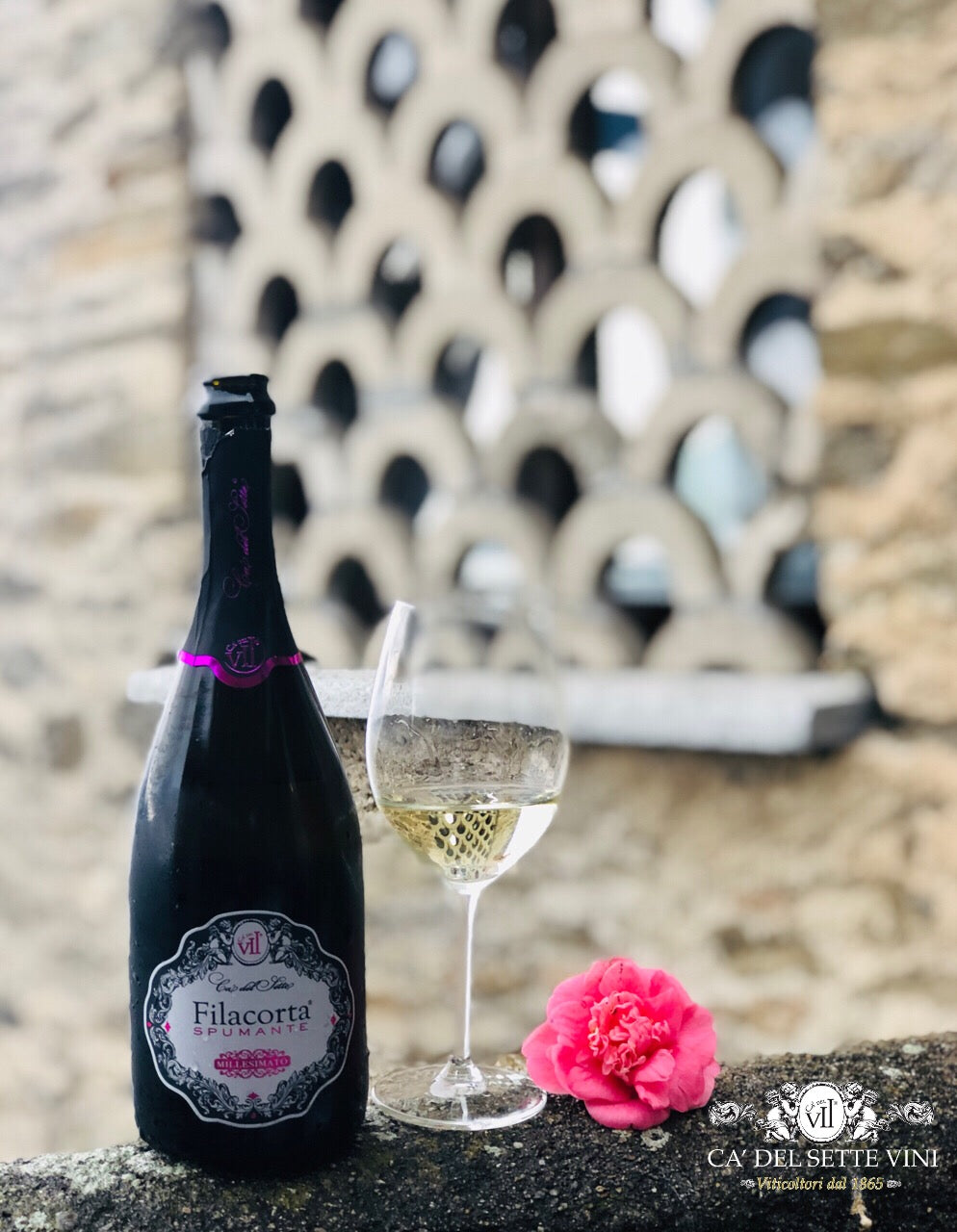 Filacorta Extra Dry 2022 - Espumante - Rótulo e detalhes da garrafa de espumante italiano Ca' del Sette